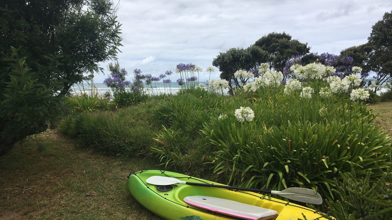 Photo of Others in Waimarama