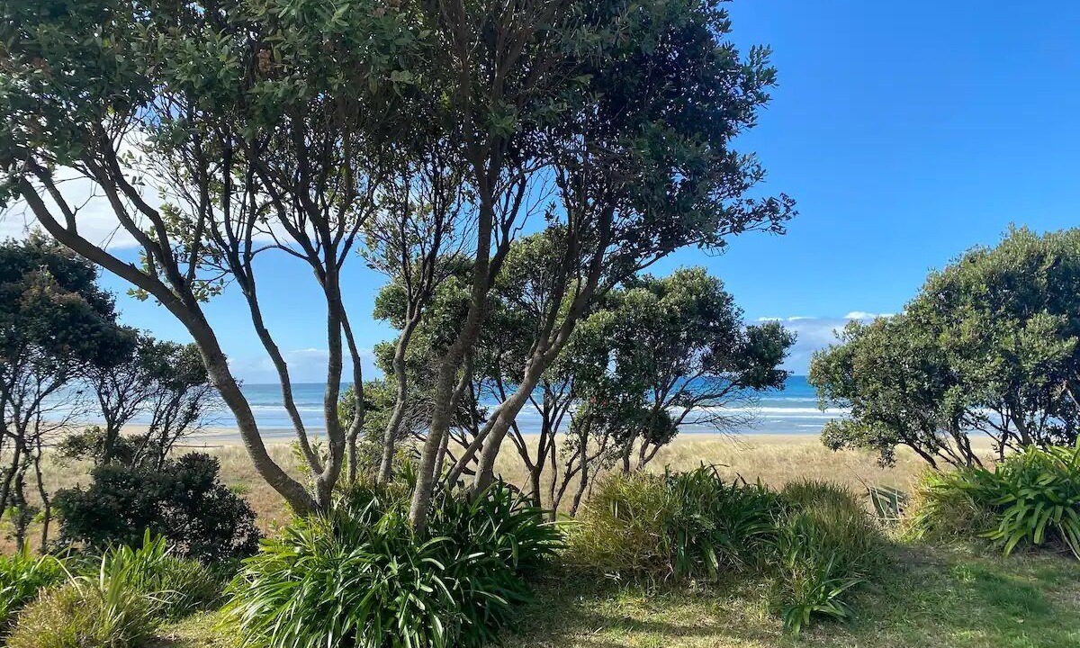 Photo of Others in Waimarama