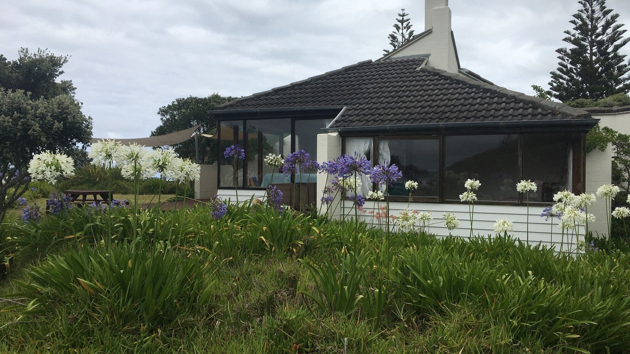 Photo of Outdoor in Waimarama