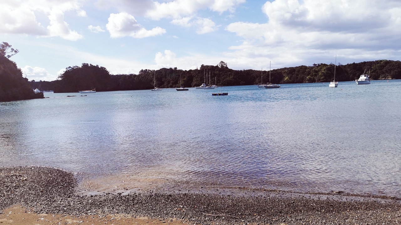Photo of Others in Tutukaka