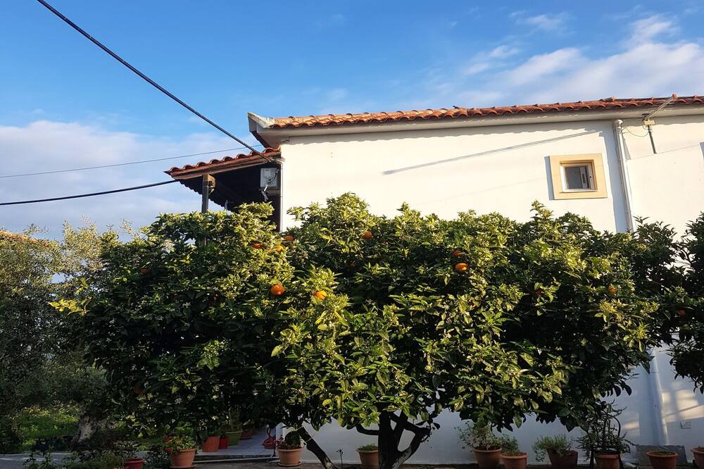 Photo of Outdoor in Koroni
