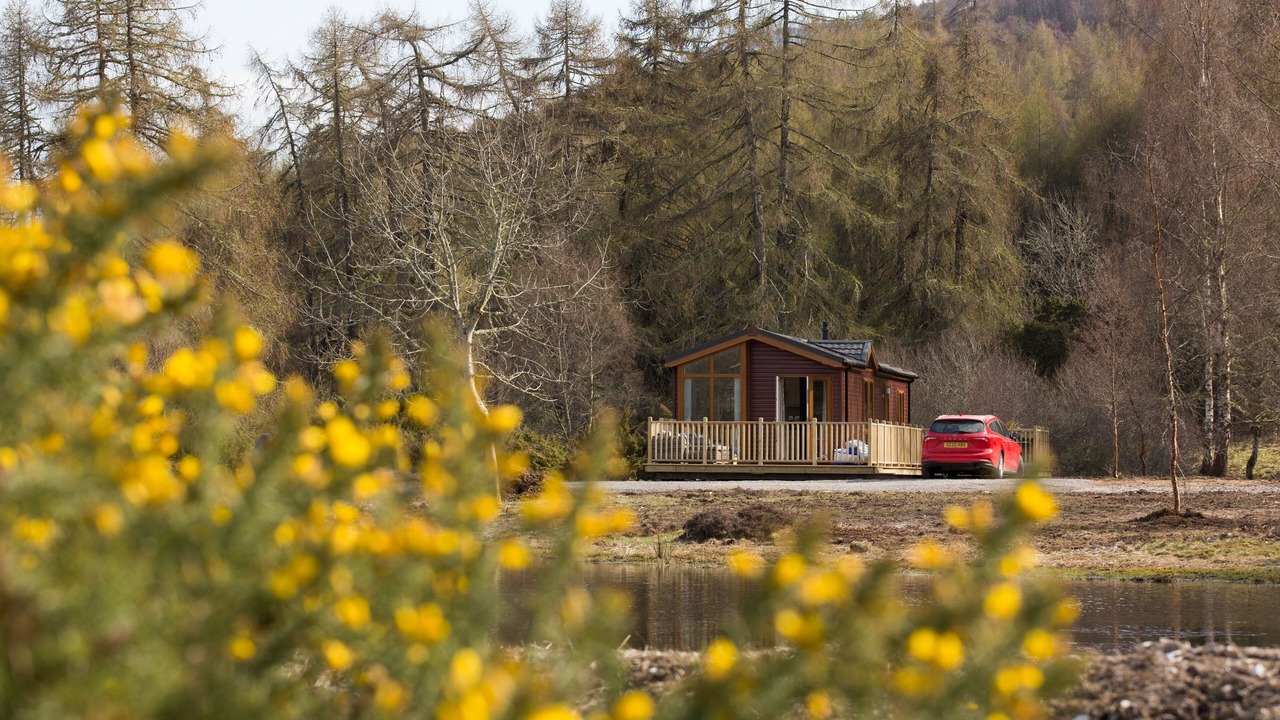 Photo of Outdoor in Contin