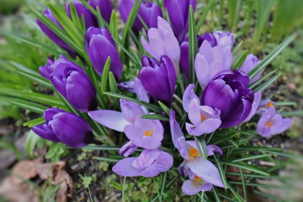 Photo of Outdoor in Brora