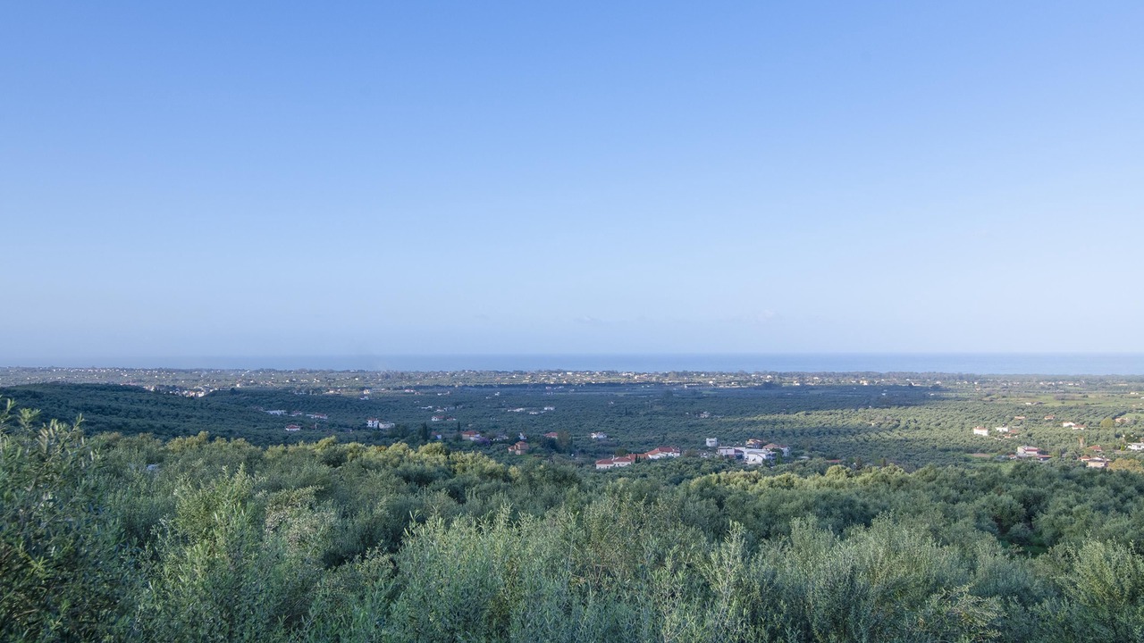 Photo of Outdoor in Zakharo