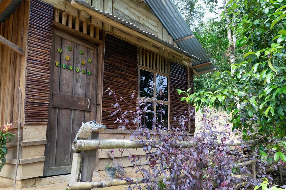 Photo of Outdoor in Bohorok