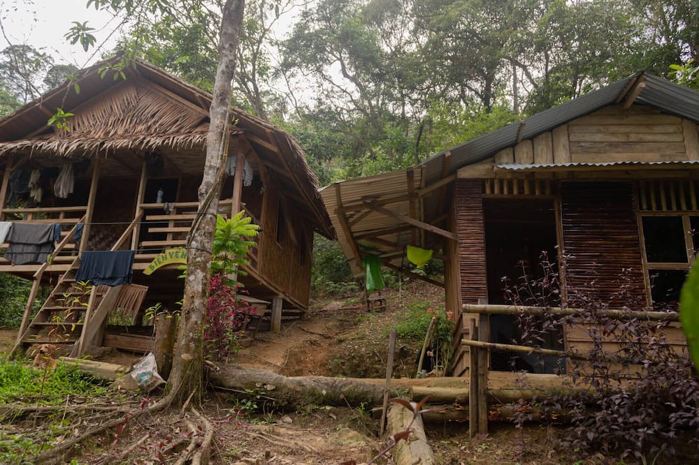 Photo of Outdoor in Bohorok