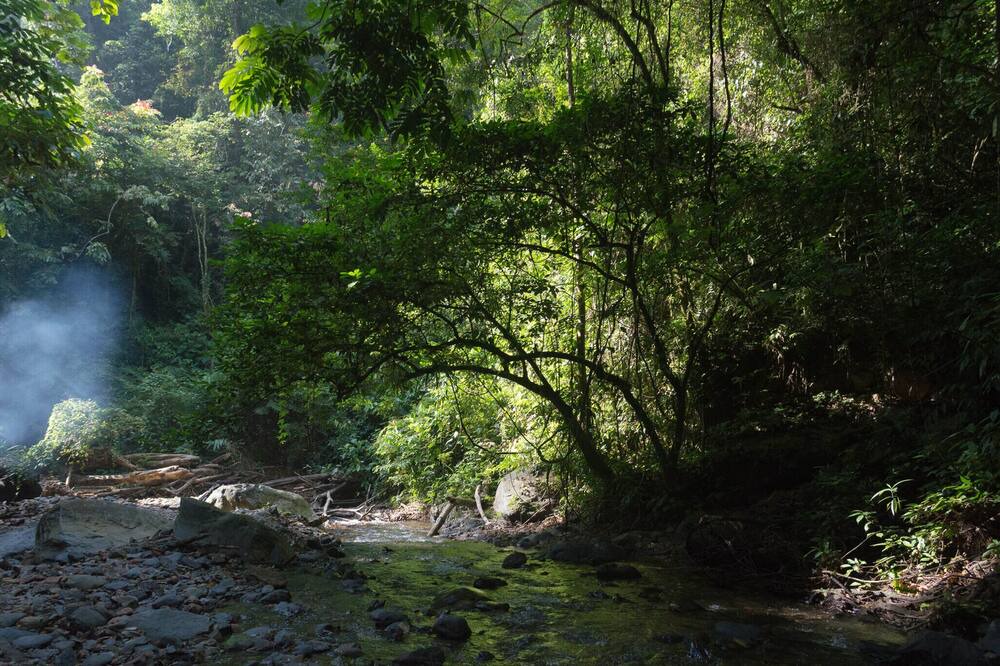 Photo of Outdoor in Bohorok