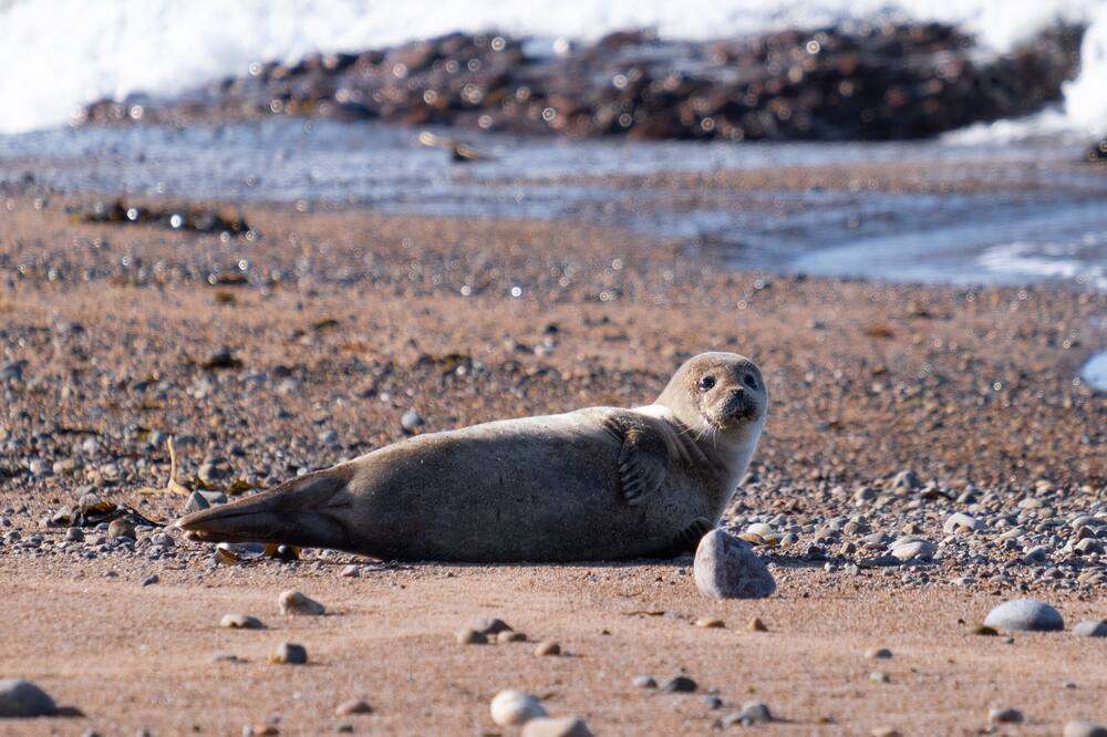 Photo of Others in Buckie