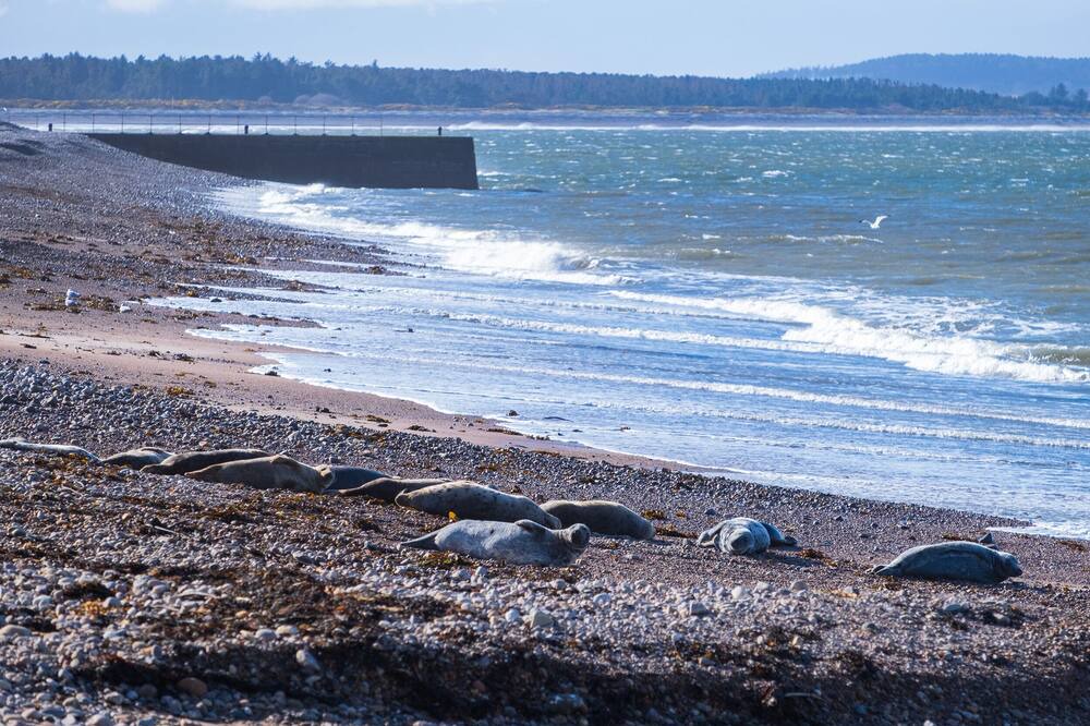 Photo of Others in Buckie