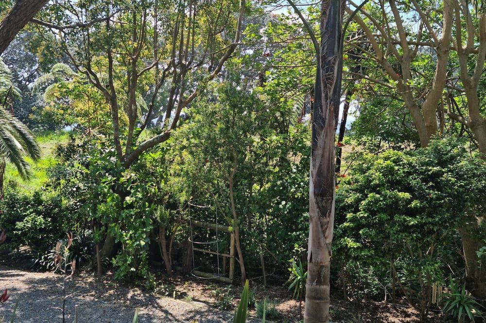 Photo of Outdoor in Te Kaha