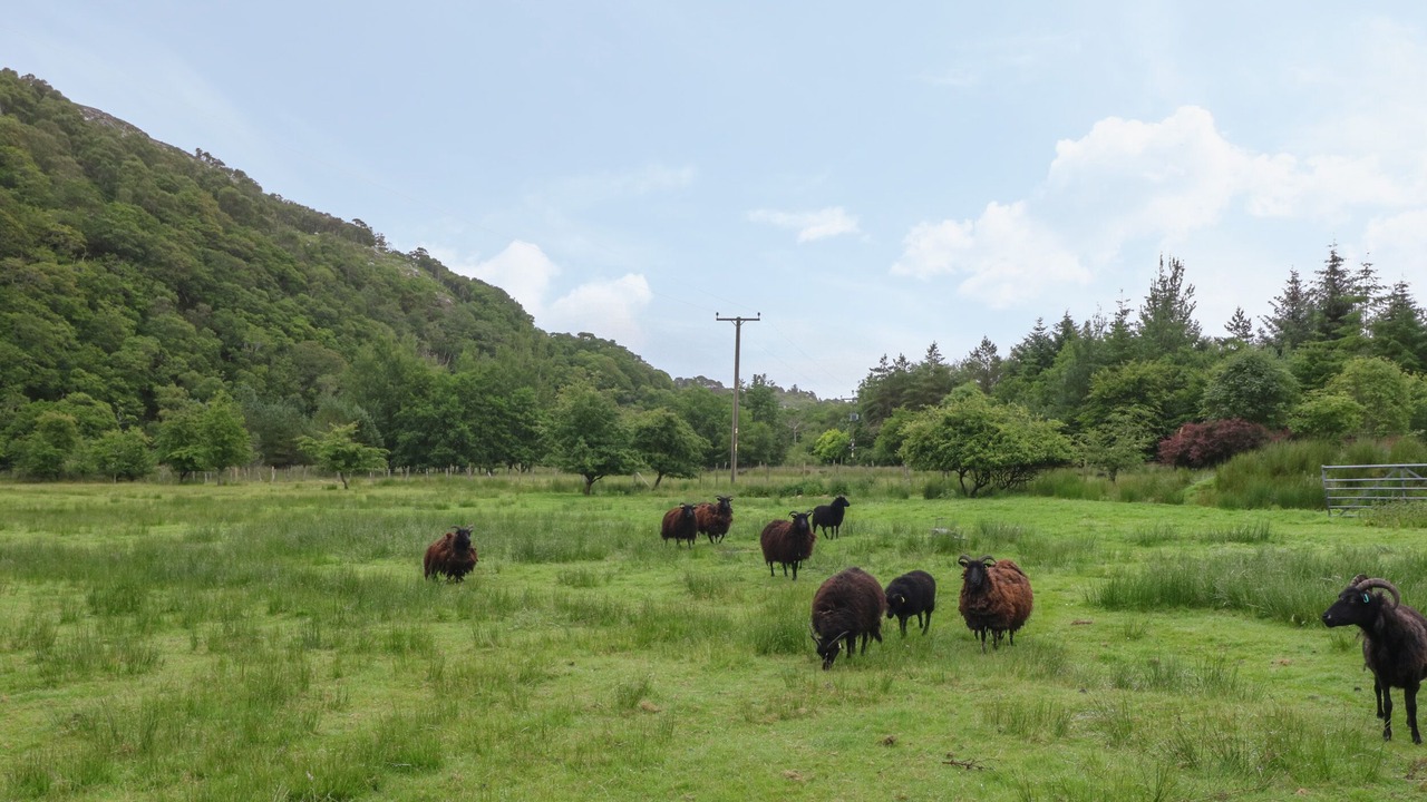 Photo of Outdoor in Acharacle