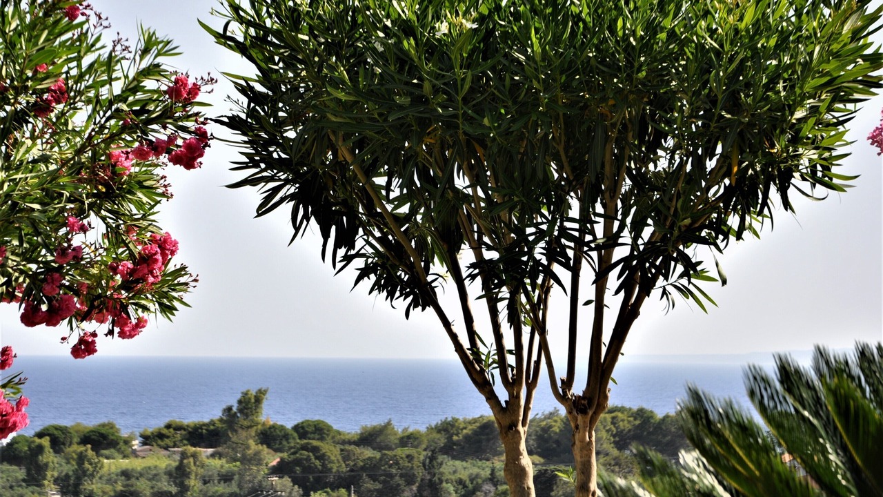 Photo of Outdoor in Ano Vasilikos