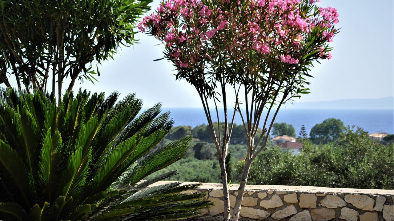 Photo of Outdoor in Ano Vasilikos