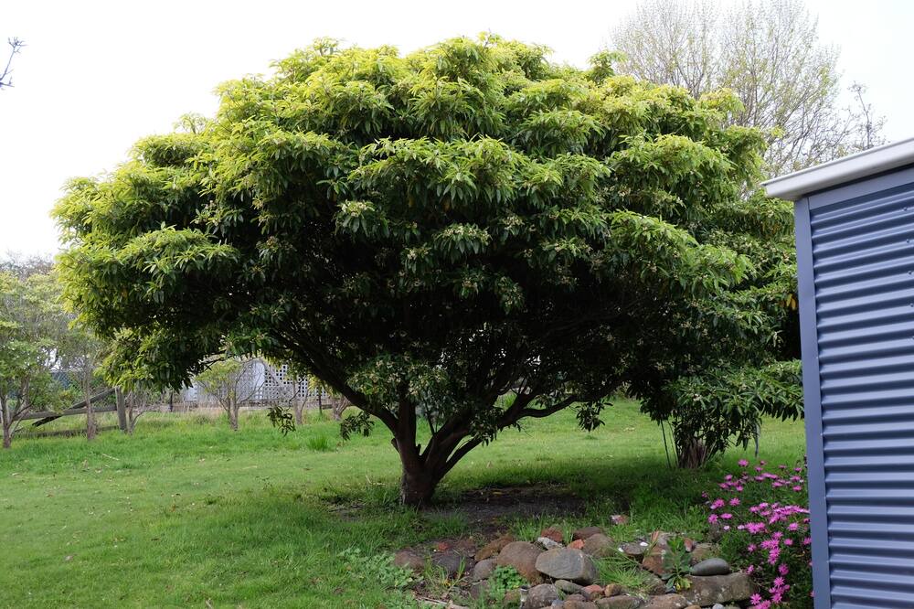 Photo of Outdoor in Nubeena