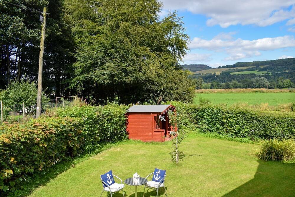 Photo of Others in Dalguise