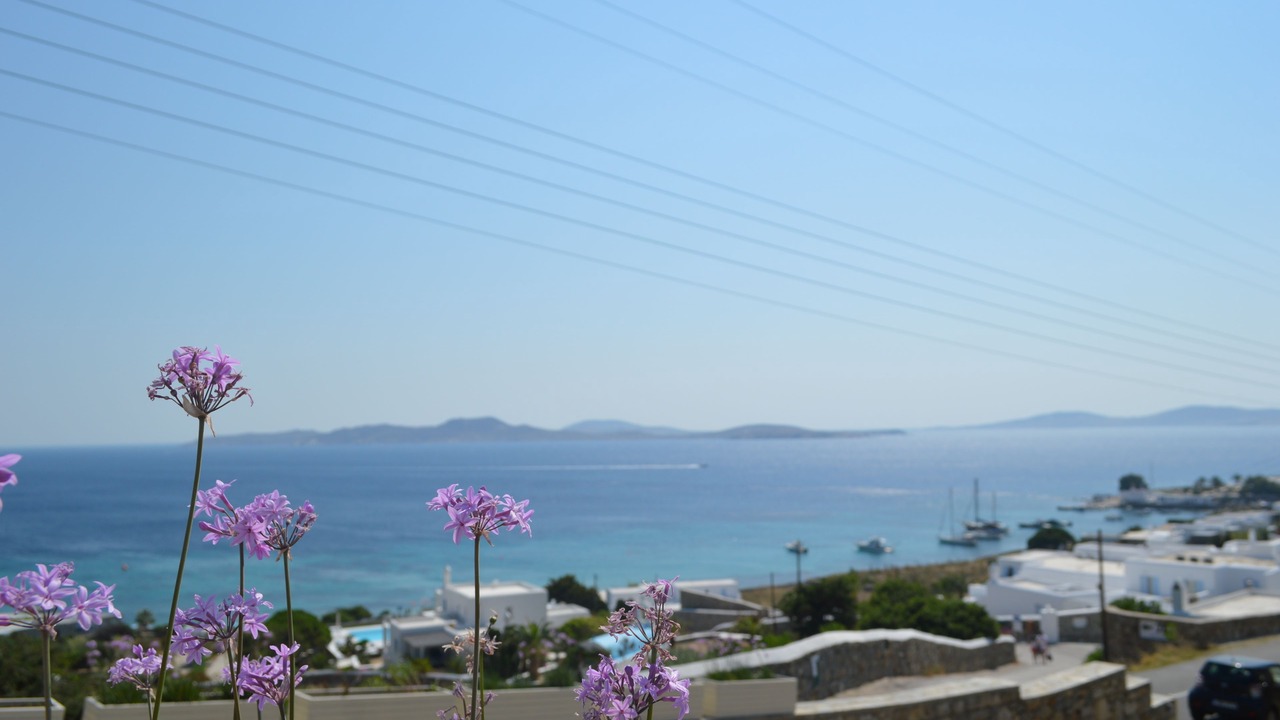 Photo of Others in Agios Ioannis