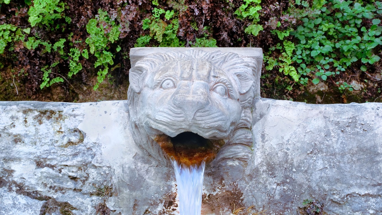 Photo of Outdoor in Paleopolis