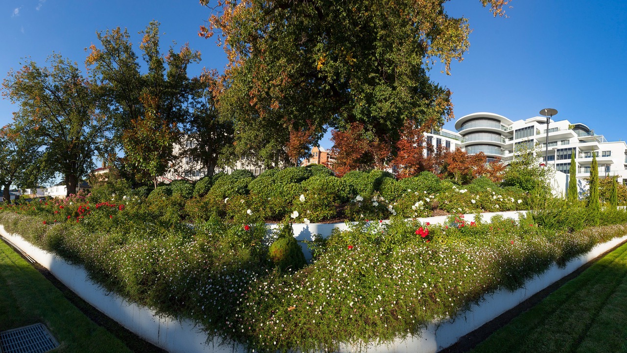 Photo of Outdoor in Launceston CBD