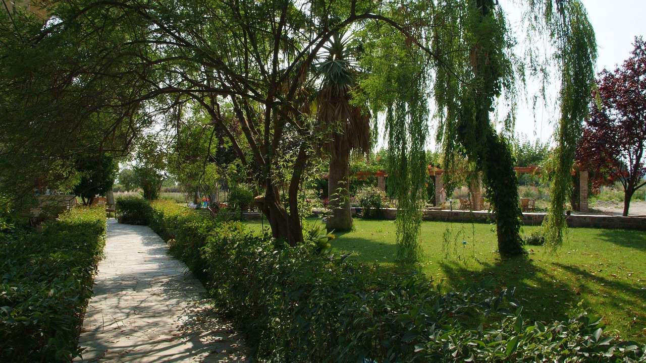 Photo of Outdoor in Kanatadika