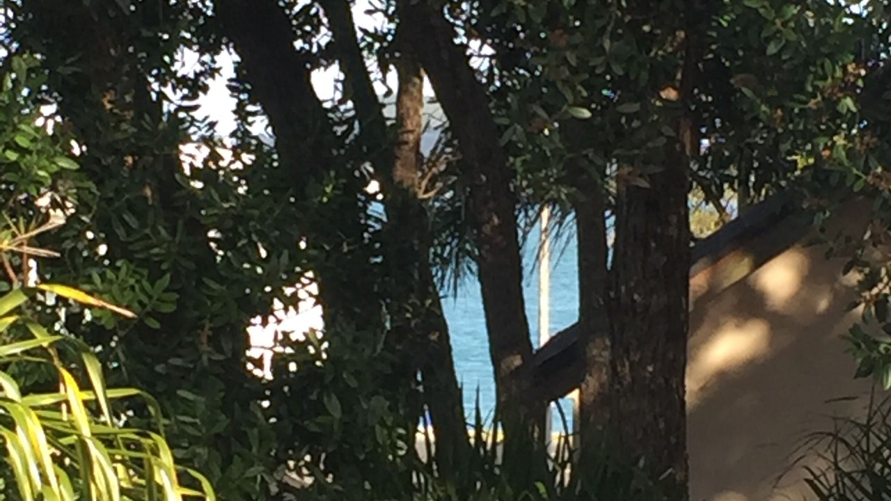 Photo of Outdoor in Bucklands Beach