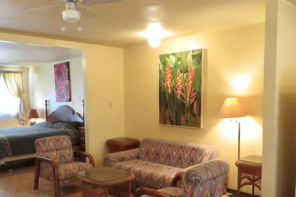 Photo of Livingroom in San Pedro