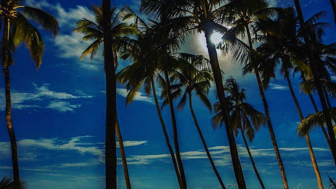 Photo of Outdoor in Kubu