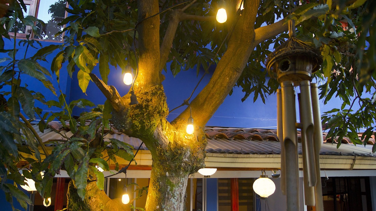 Photo of Outdoor in San Francisco