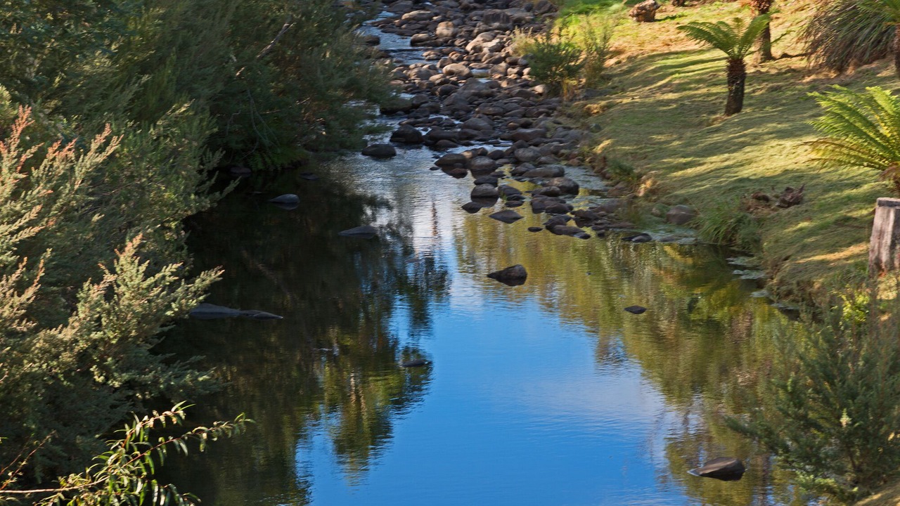 Photo of Others in Grove