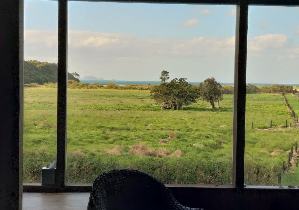 Photo of Others in Te Tii