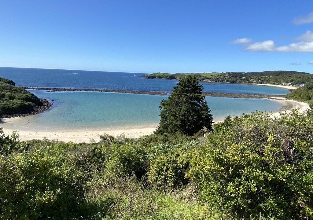 Photo of Others in Te Tii