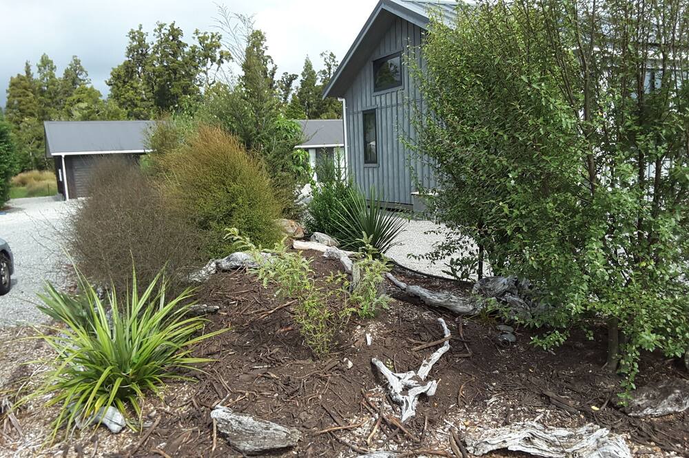 Photo of Outdoor in Haast