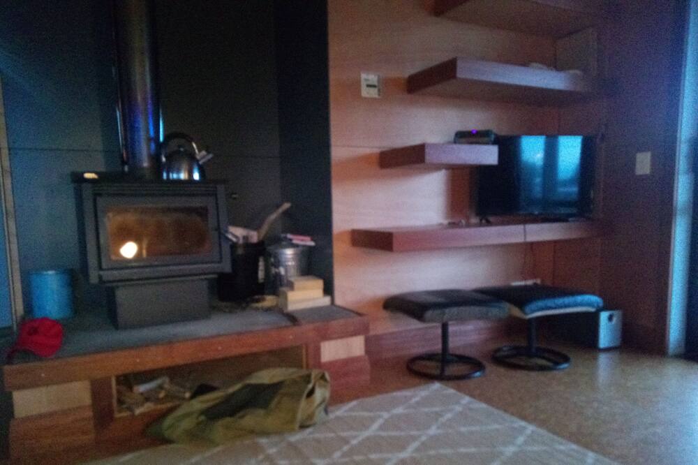 Photo of Livingroom in Haast