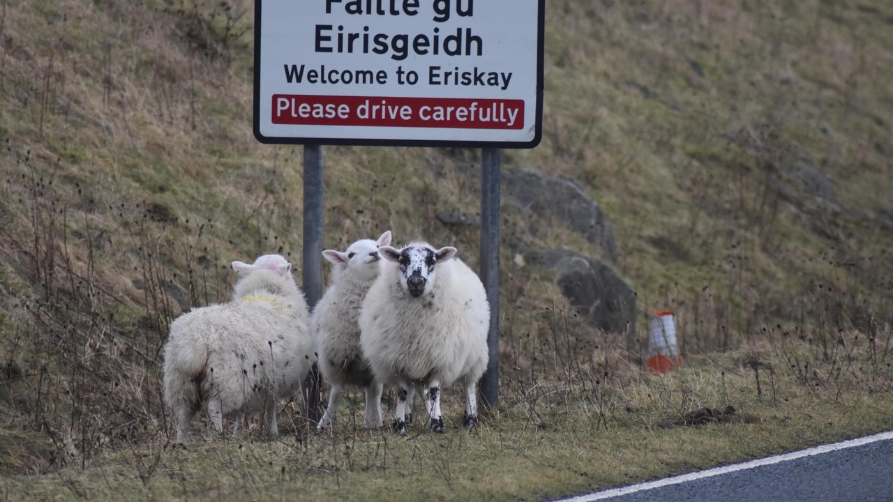 Photo of Others in Eriskay