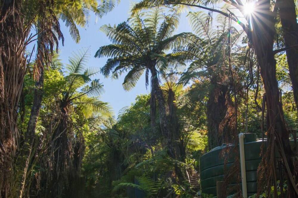 Photo of Outdoor in Tikitere