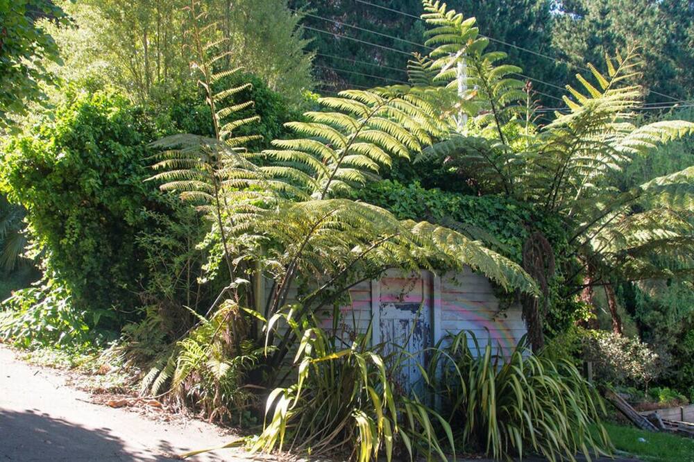 Photo of Outdoor in Tikitere