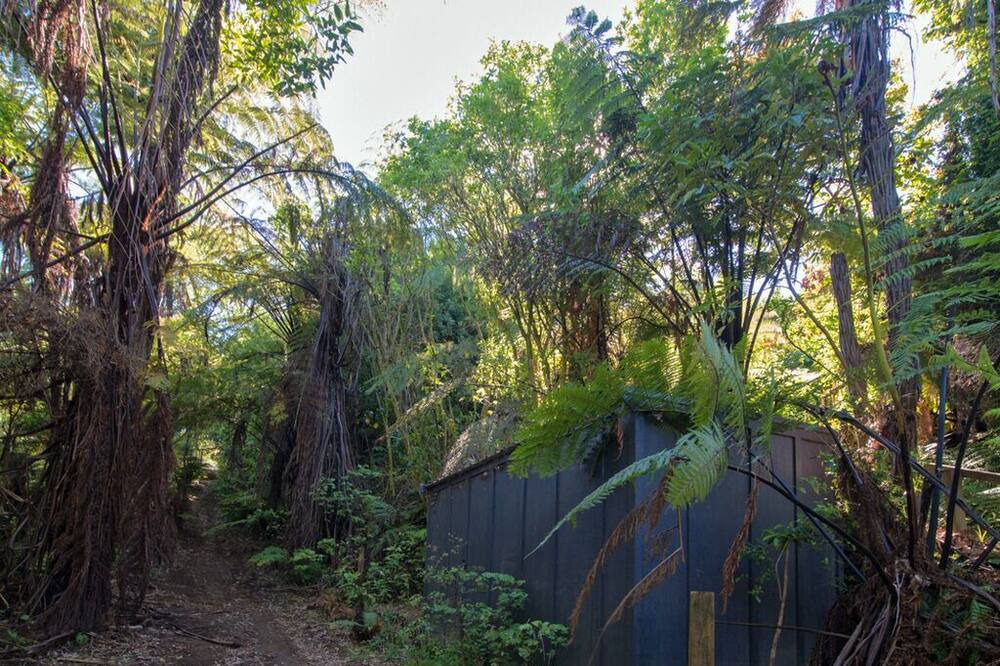 Photo of Outdoor in Tikitere