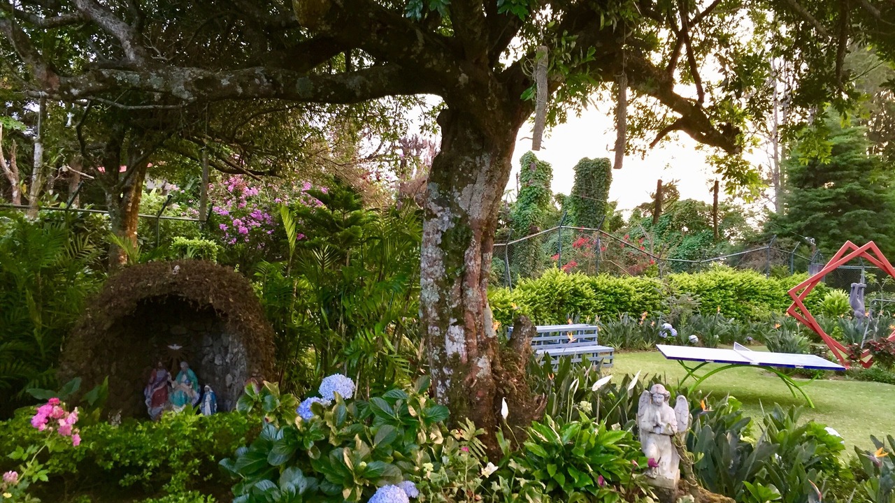 Photo of Outdoor in Heredia