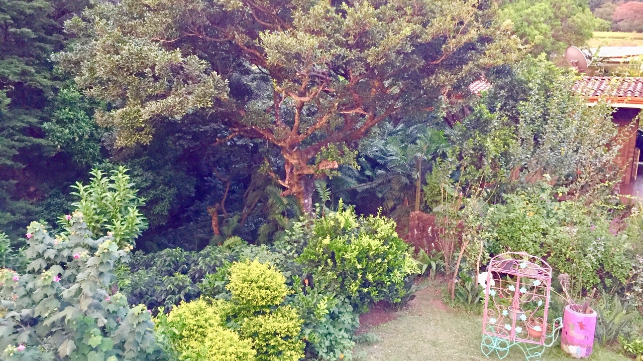 Photo of Outdoor in Heredia