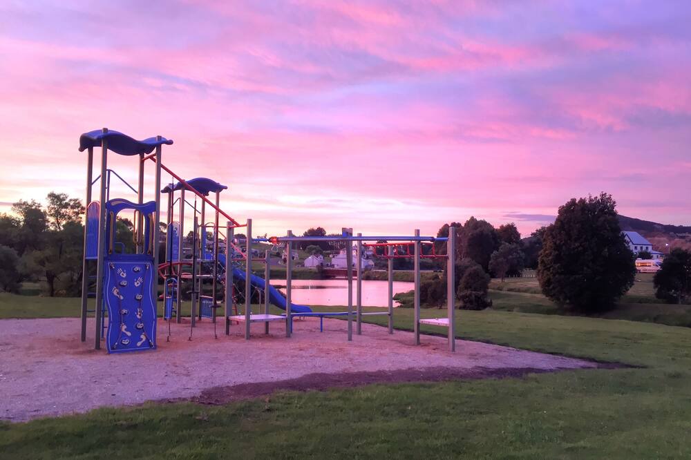 Photo of Others in Waratah