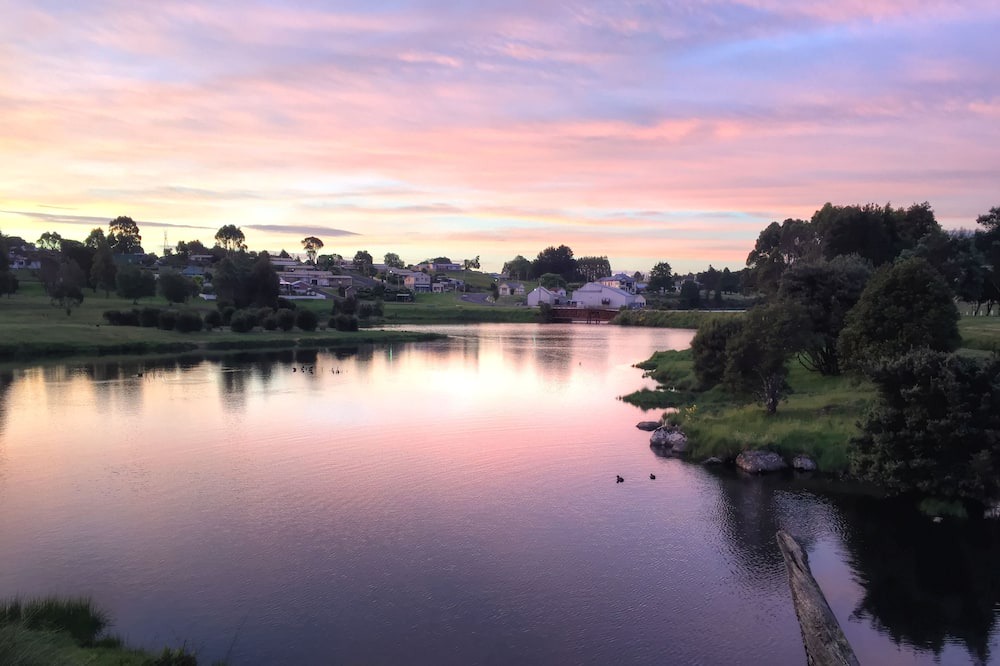 Photo of Others in Waratah