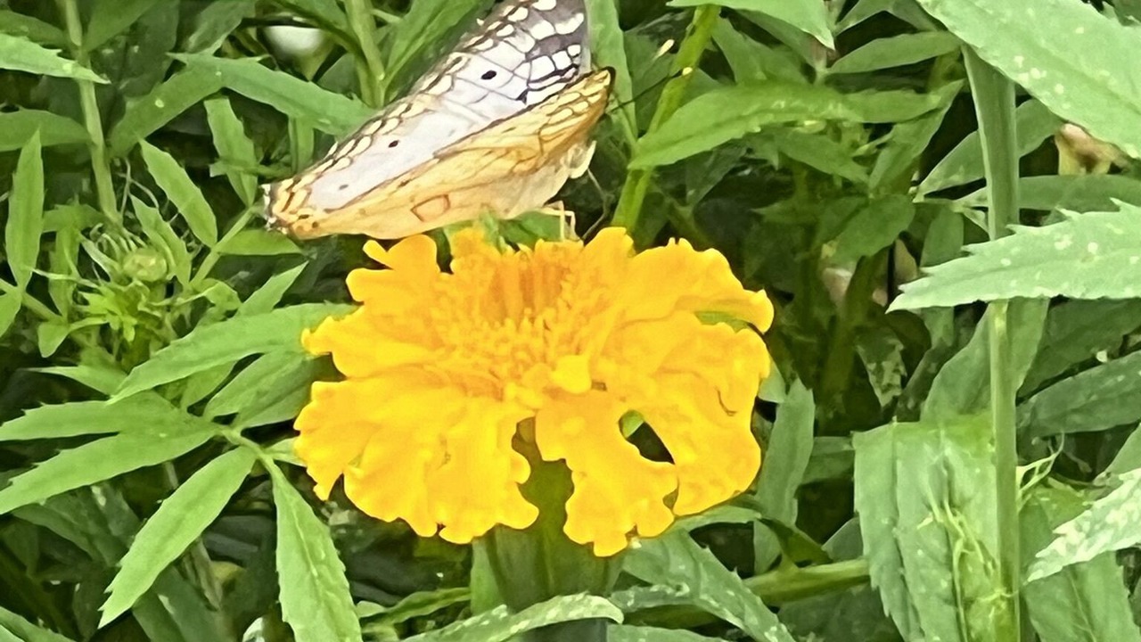 Photo of Outdoor in Lagunas de Baru