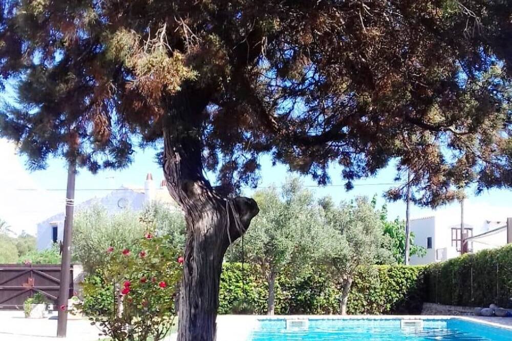 Photo of Outdoor in Sa Caleta