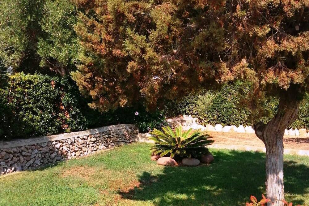 Photo of Outdoor in Sa Caleta