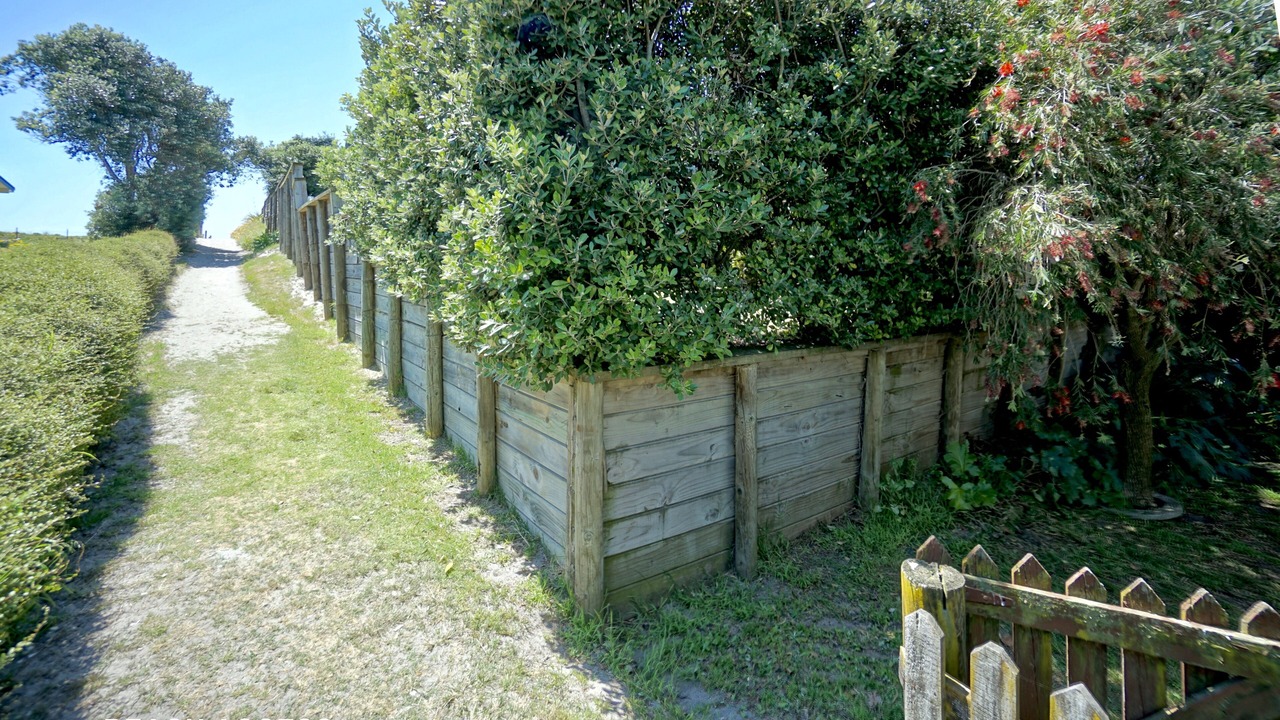 Photo of Outdoor in Pukehina
