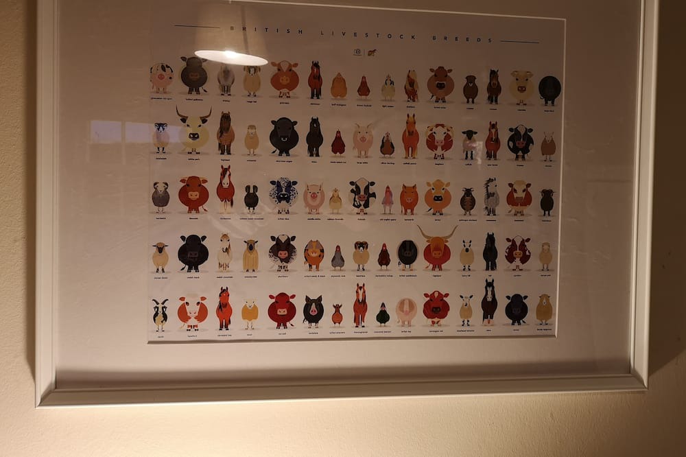 Photo of Others in Pathhead