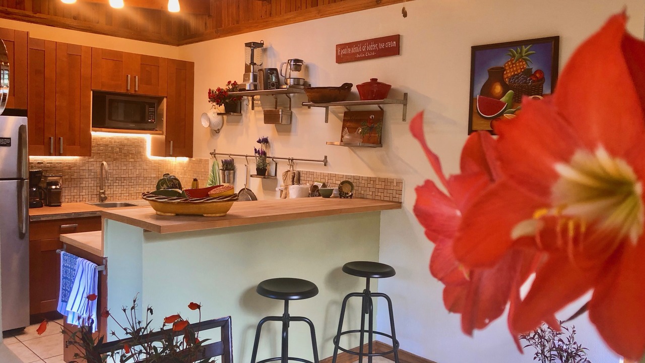 Photo of Kitchen in Pacuare Reserve