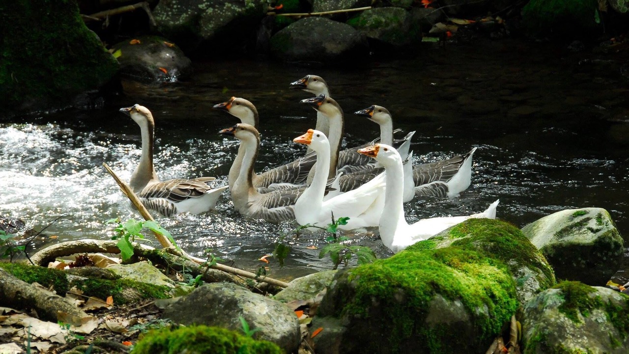 Photo of Outdoor in Pacuare Reserve
