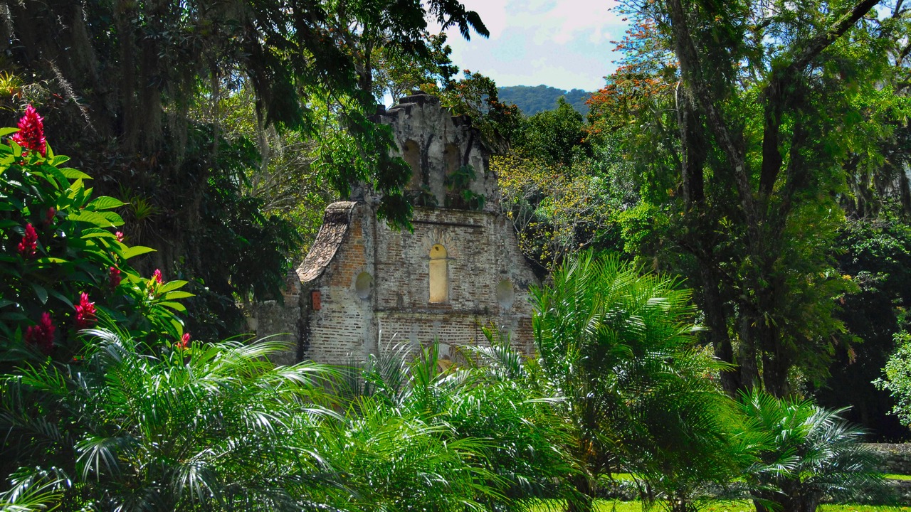 Photo of Outdoor in Pacuare Reserve
