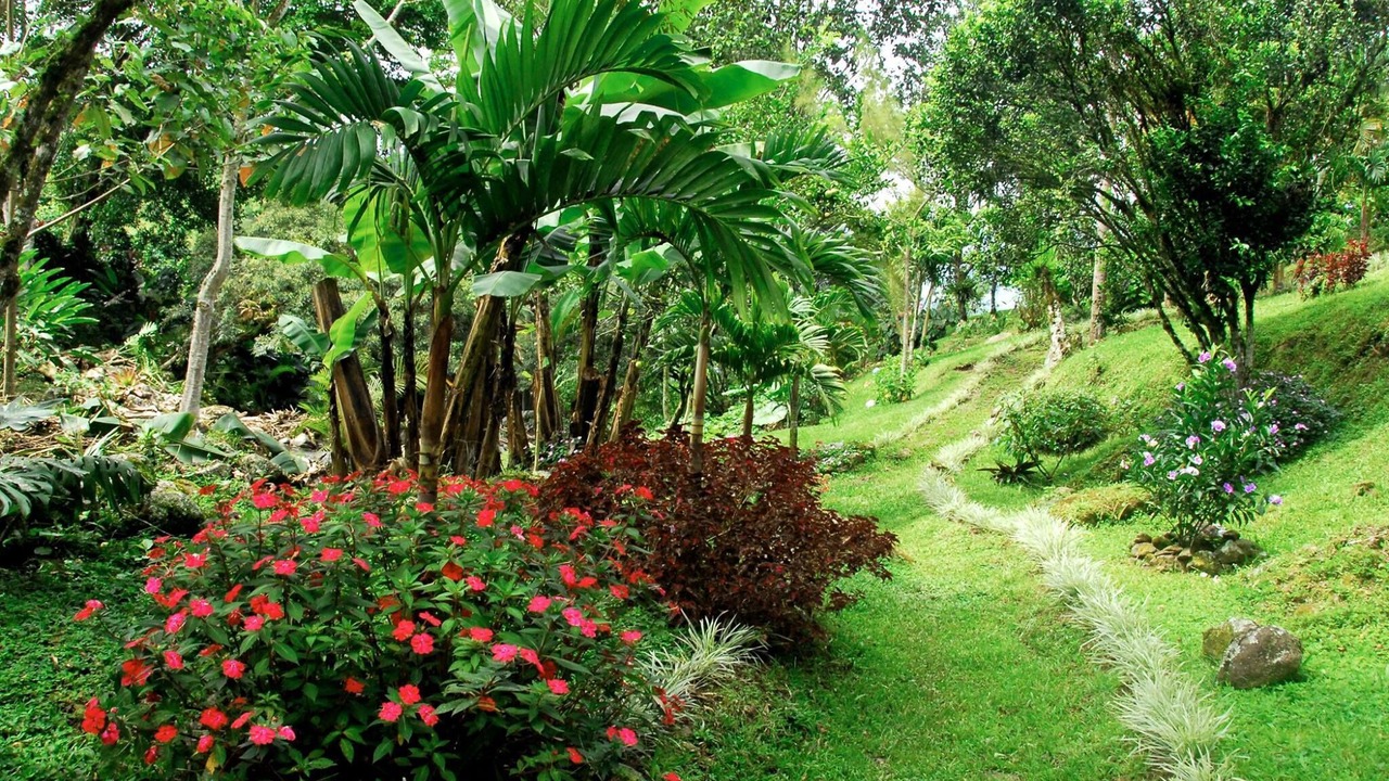 Photo of Outdoor in Pacuare Reserve