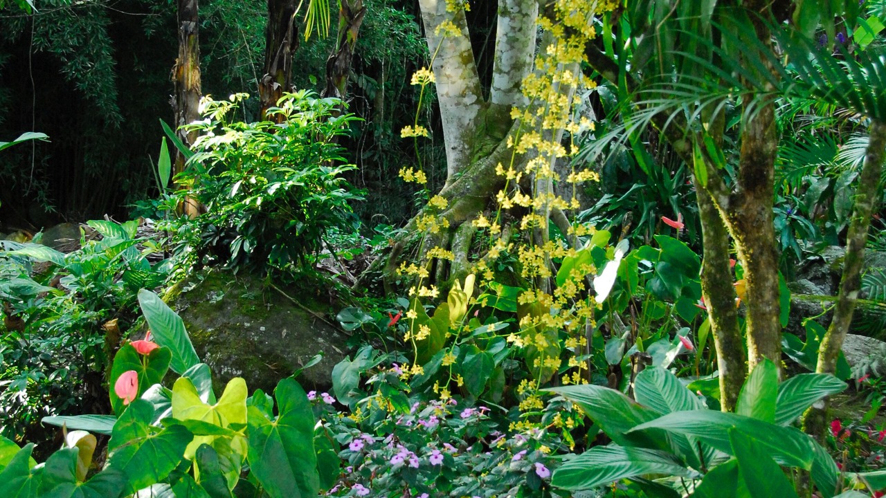 Photo of Outdoor in Pacuare Reserve